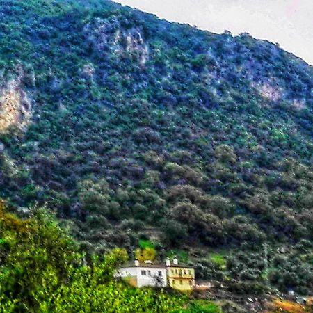 El Antiguo Molino Casa de hóspedes El Bosque Exterior foto
