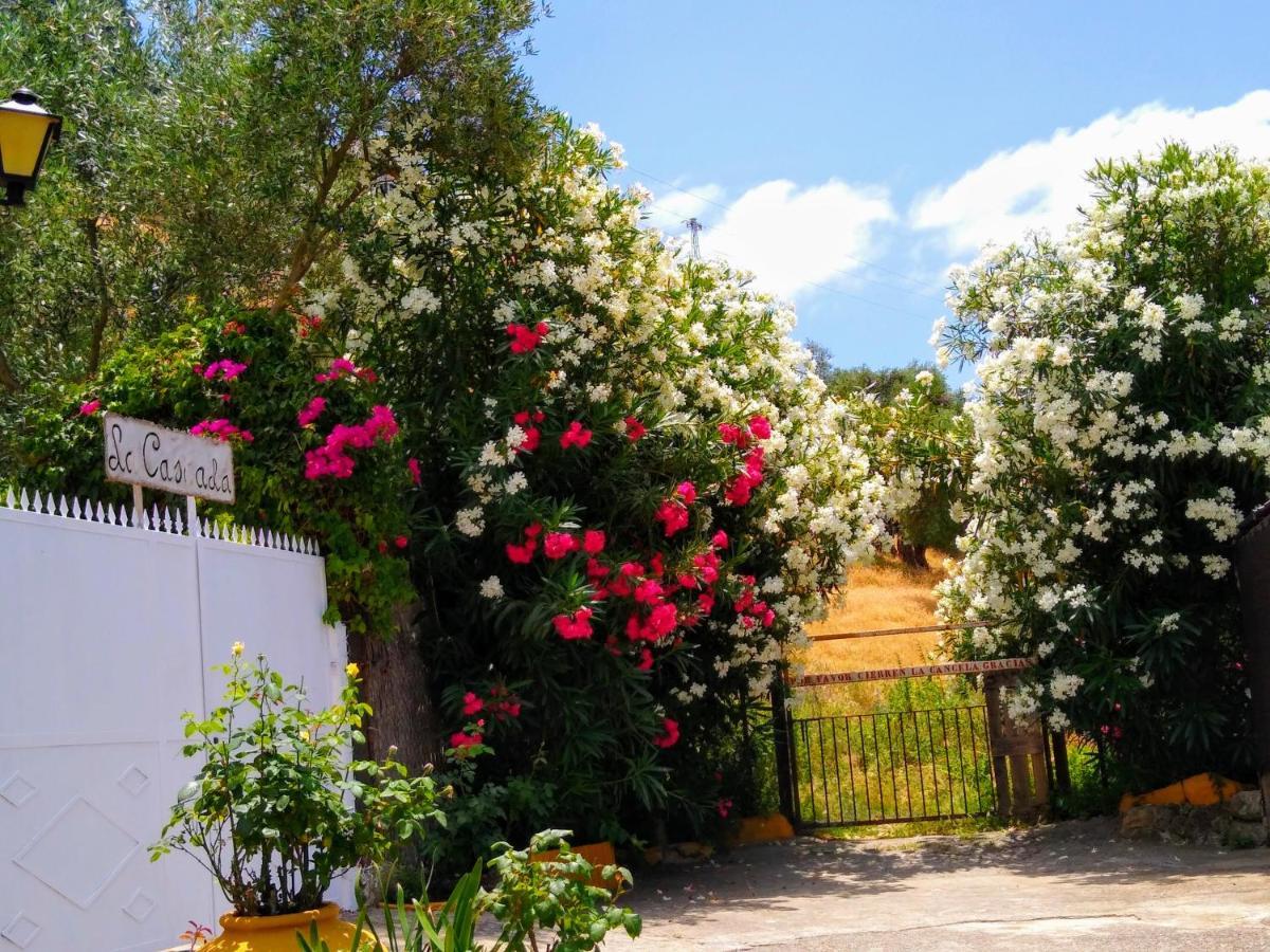 El Antiguo Molino Casa de hóspedes El Bosque Exterior foto