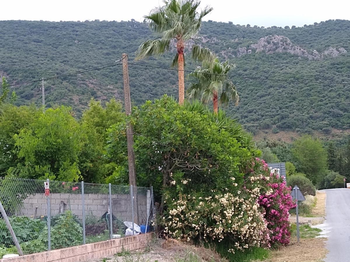 El Antiguo Molino Casa de hóspedes El Bosque Exterior foto