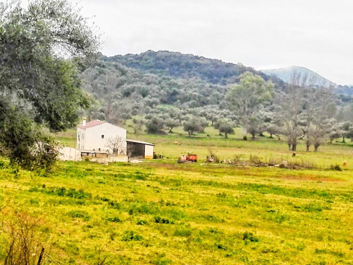 El Antiguo Molino Casa de hóspedes El Bosque Exterior foto
