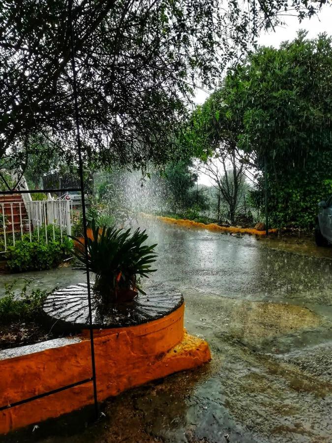 El Antiguo Molino Casa de hóspedes El Bosque Exterior foto